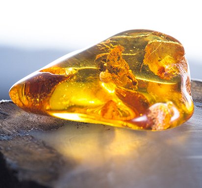 Amber Essential Oil Pure and Natural Supplier and Wholesale Manufacture