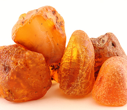 Amber Essential Oil Pure and Natural Supplier and Wholesale Manufacture