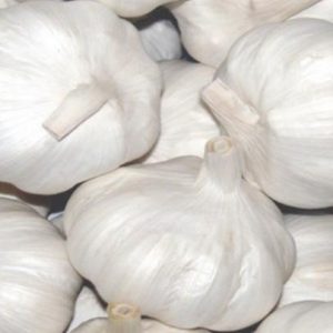 Garlic (Roasted) Oleoresins