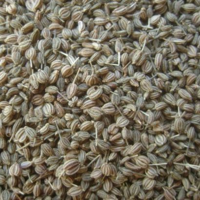 Ajowan Essential Oil